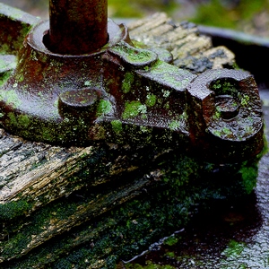 Pied d'un ancien pressoir sur bois vermoulu et humide - Italie  - collection de photos clin d'oeil, catégorie clindoeil